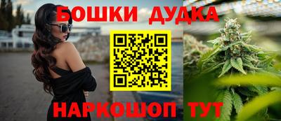 мдпв Будённовск