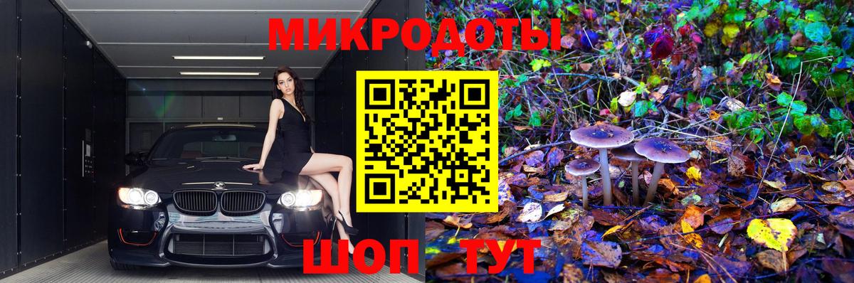 Кыштым  Псилоцибиновые грибы Psilocybine cubensis  Вход с VPN  Галлюциногенные грибы Cubensis 